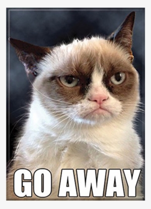 $0 - - Grumpy Cat - Go Away - Refrigerator Magnet #605587