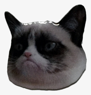Grumpy Cat Pin - Cat No Gif #605628