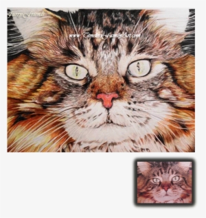 Custom Pet Portraits & Paintings From Photos - Drawing #605697