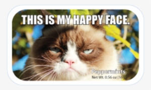 $2 - - First Day Of Summer Grumpy Cat #605737