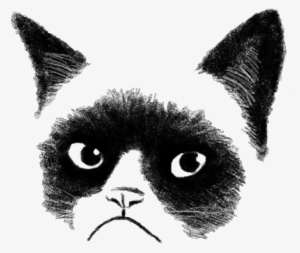 Transparent Grumpy Cat - Society6 By Tummeow #605823 Transparent Grumpy Cat - Society6 By Tummeow #605823