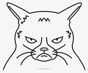 Warrior Cat  Coloring  Pages  To Print Coloring  Pages  
