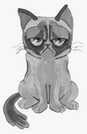 Grumpy Cat Png #605917