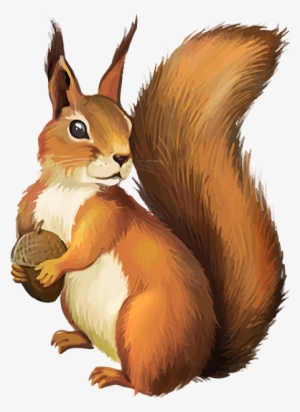 Tubes Écureuils - Funny Custom Ceramic Coffee Mugs Printed Squirrel Whisperer #606258