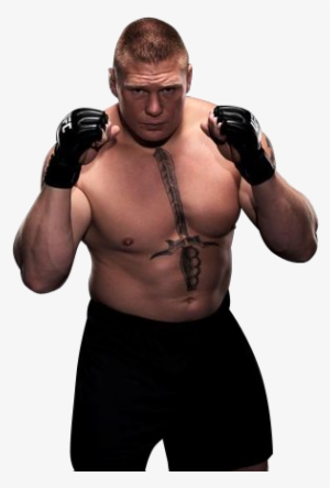 Brock Lesnar 9 , 93k - Brock Lesnar Mma Gloves #606331