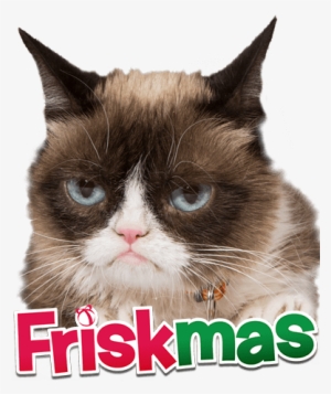 Com Grumpy-cat Utm Medium=socialorganic&utm Source=facebook&utm - Ragdoll #606353