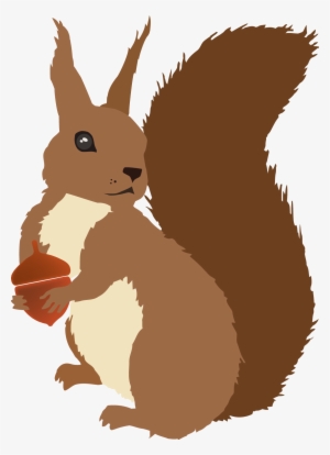 Sciurusvulgaris Redsquirrel Trabajos Hechos - Squirrel Vector #606846