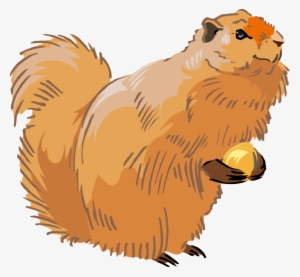 Free Squirrel Clipart - Clip Art #606905