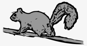 Squirrel Clipart Png #606990