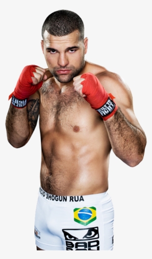 227k Brocklesnar 03 Jul 2016 - Saint Preux & Okami Ufc #607446