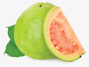 Guava - Fumari Guava #607614
