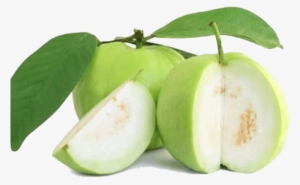 Fresh Guava From Thailand - Guava Transparent #607666