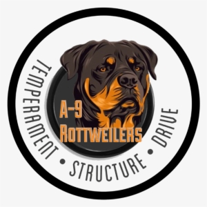Rottweiler #607846