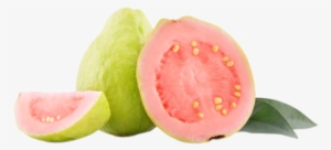 World's Best Guava - Half Guava #608113