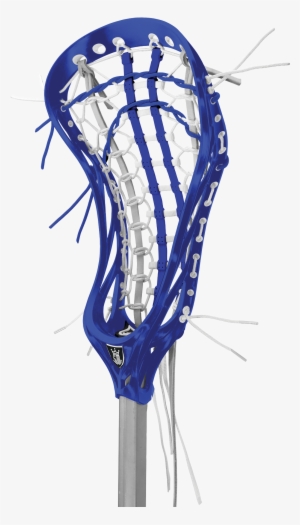Lacrosse Picture - Women's Lacrosse #608185