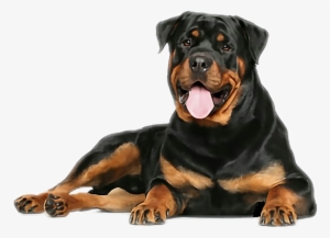 Rottweiler. Rottweiler Complete Owners Manual. Rottweiler #608533