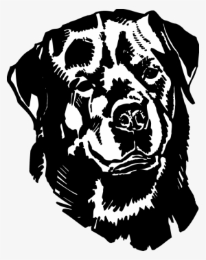 Rottweiler Head View Decal Clip Black And White Download - Rottweiler Danger Sign #608723