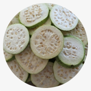 #aviannutrition #bigfootfoodie #birdfood #birdnutrition - Guava #608991