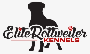 Elite Rottweiler Kennels - Boxer #609404