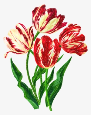 Rote Tulpe-kalligraphie Mousepads #609472