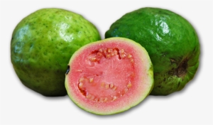 Guava - Product #609621