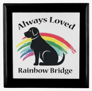 Rainbow Bridge Png #6000051 Rainbow Bridge Png #6000051