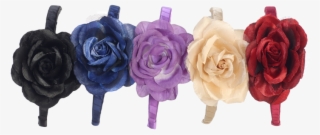 Black, Navy Blue, Lavender, Ivory, Burgundy Red - Black #6000110