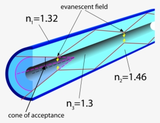 Figure 22 - - Fiber Optic Evanescent Wave Mode #6001225