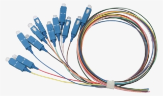 Teleran Logo - Teleran Technologies Inc. #6002740