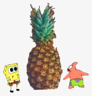 Freetoedit Pineapple Spongebob Patrick - Spongebob Squarepants #6003147