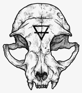 Cat Skull Ii #6005440