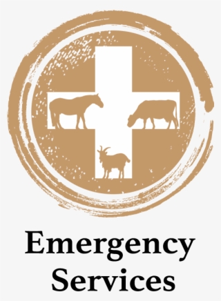 Emergency-services - Sign #6006412