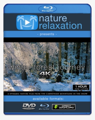 "winter Forest Journey" 4k Dynamic 1-hour Nature Relaxation - 4k Resolution #6008527