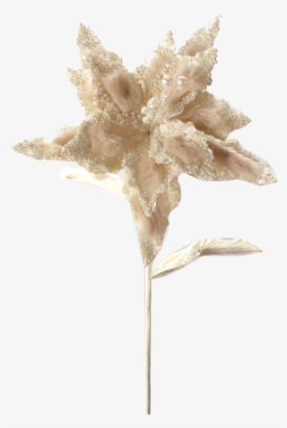 Cream Poinsettia Adorned With Jewels - Poinsettia #6008673