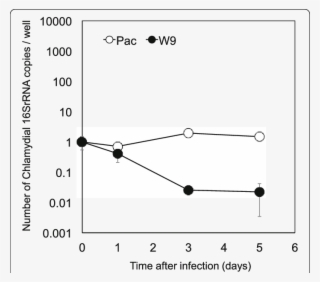 Growth Of Protochlamydia W 9 And Parachlamydia Bn 9 #6009070