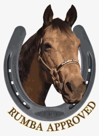 Rumba's Weekly Pasture Picks - Carolina Beach #6011807