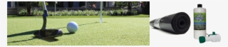 Lawn #6013892