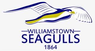 Williamstown Seagulls - Larry Crowne Movie Poster #6014021