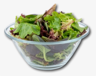 Australia Mesclun Mix Salad - Salad #6014137