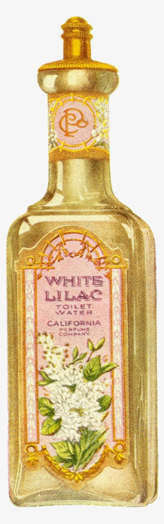 Digital Perfume Bottle Download - Bottle #6014503