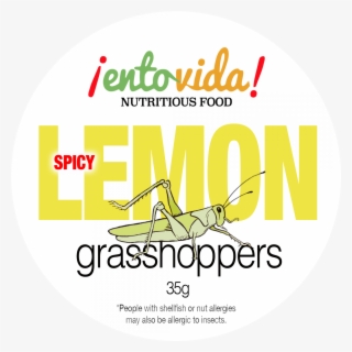 Sal Y Limon Grasshoppers Lemon Flavored Grasshoppers - Superworm Thailand #6015085