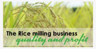 Hp Premier Business Partner #6015132