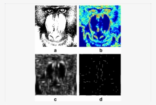 Contour Extraction Result - Energy #6015285