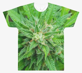 Image Of Jaimaca Weed Pillow / Mug / All Over Shirt - Cannabis #6015587