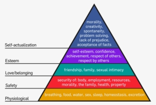 Maslow's Hierarchy Of Needs #6016423