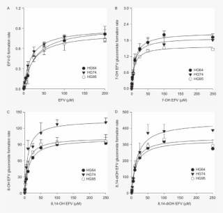 The Formation Rate Of Efavirenz N Glucuronide (a) And - Endobronchial Valve #6017178