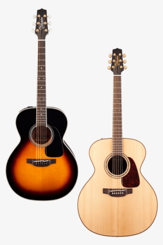Takamine Guitars Worldwide - Takamine 12 String Pro Series 1 #6018583