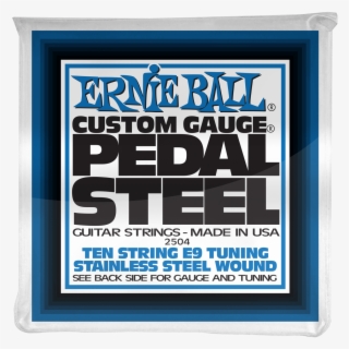 Ernie Ball Pedal Steel 10-string E9 Tuning Stainless #6018946