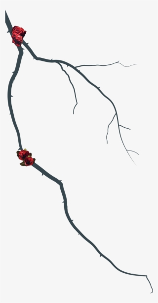 Slick Woods #6023368