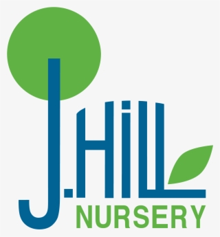 J - Hill Nursery - Perennial Plant #6023633